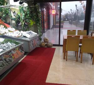 bahcesehir balik evi esenkent istanbul zomato